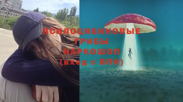 ешки Гусиноозёрск