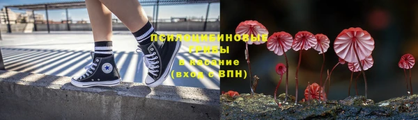 ешки Гусиноозёрск