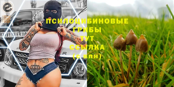 дурь Гусев