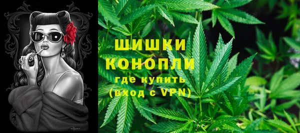 соль ск Гусь-Хрустальный