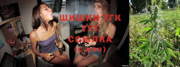 дурь Гусев