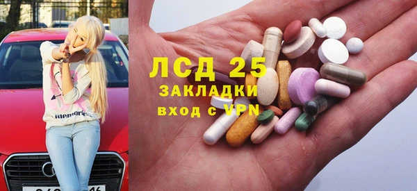 гидра Бердск