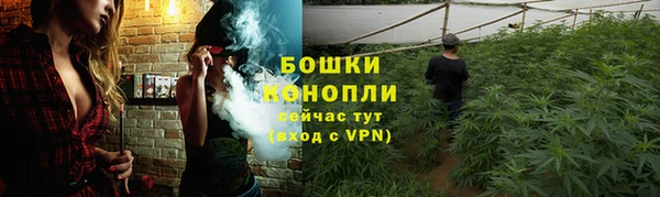 гидропоника Дмитров
