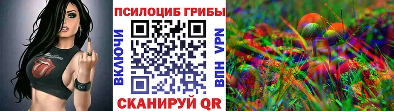 Псилоцибиновые грибы Cubensis  Гусиноозёрск 